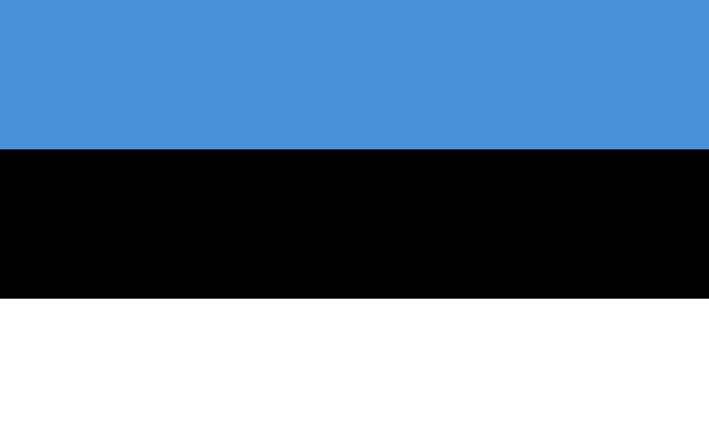 Estonia Visa Application Support